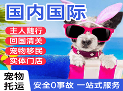 南昌机场物流国际宠物托运 【国